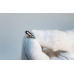 Шариковый наконечник 20mm Length, Ruby, Metric | 137392